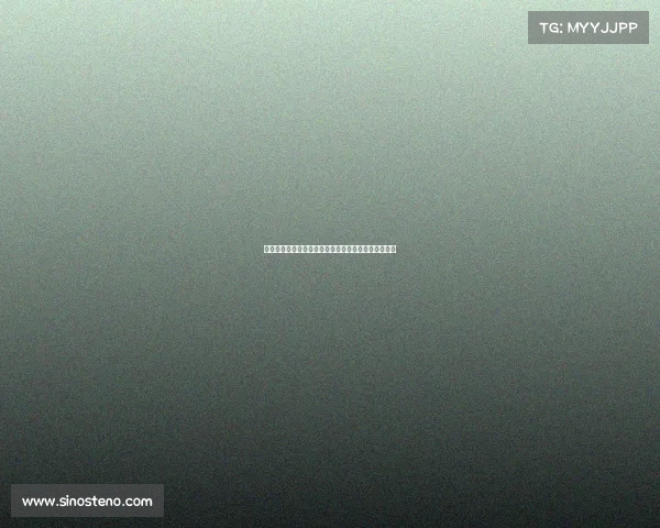 意甲主席坚信切费林支持米兰与科莫海外举办比赛计划